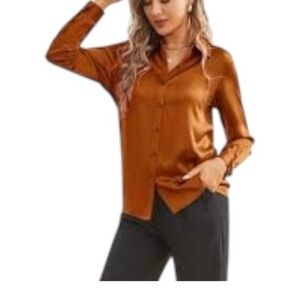 Skies are blue Ginger Brown Blouse NWT